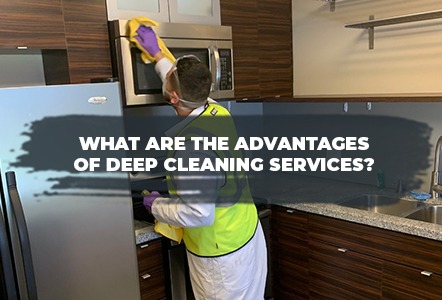 professional cleaning services